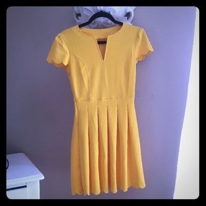 Cute V Neck Scallop Pleated Skater Dress